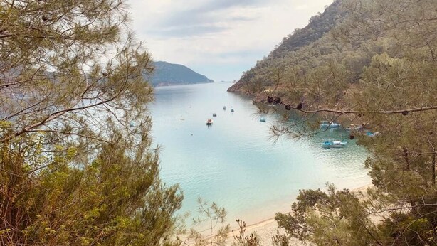 Un paisaje costero con playa, barcos y árboles densos.