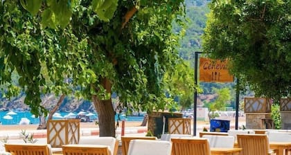 Ceneviz Hotel