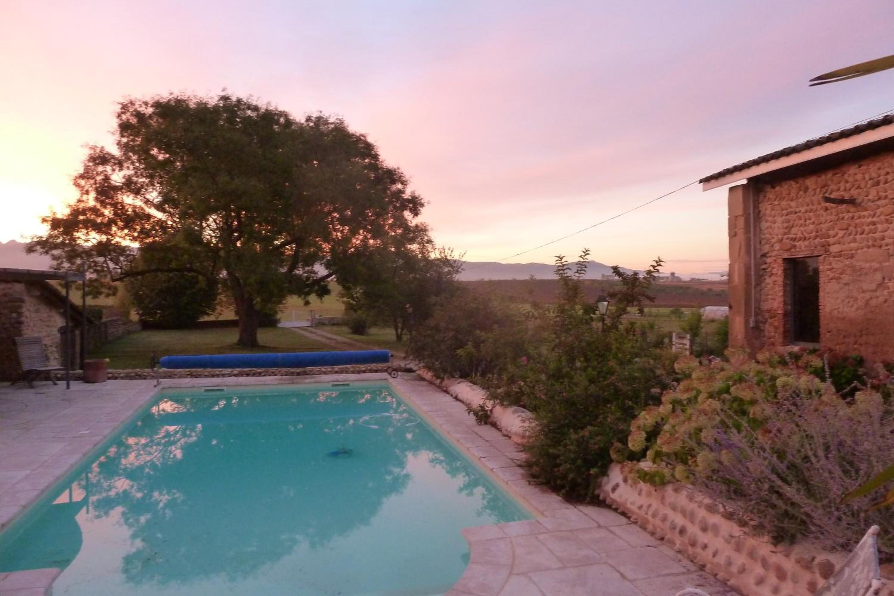 A rectangular swimming pool with a stone border, surrounded by a garden with various shrubs and a large tree.