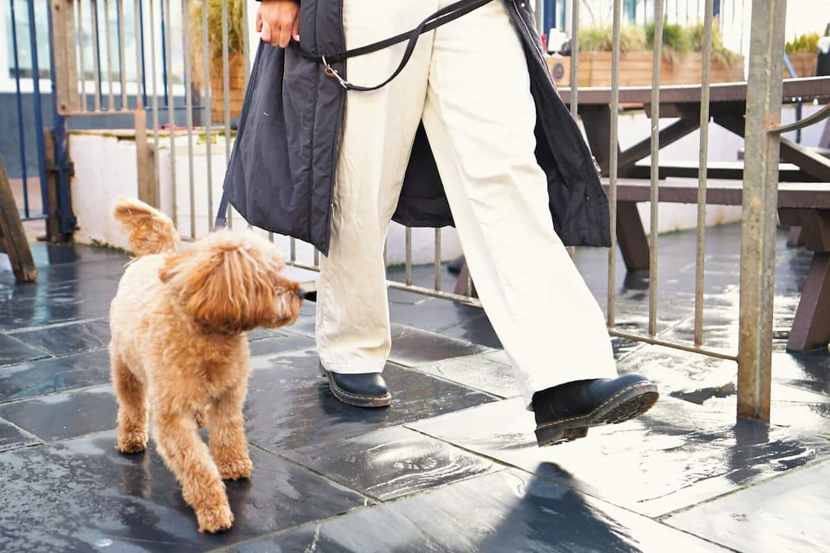 Iemand loopt met een kleine hond over een nat betegeld oppervlak.
