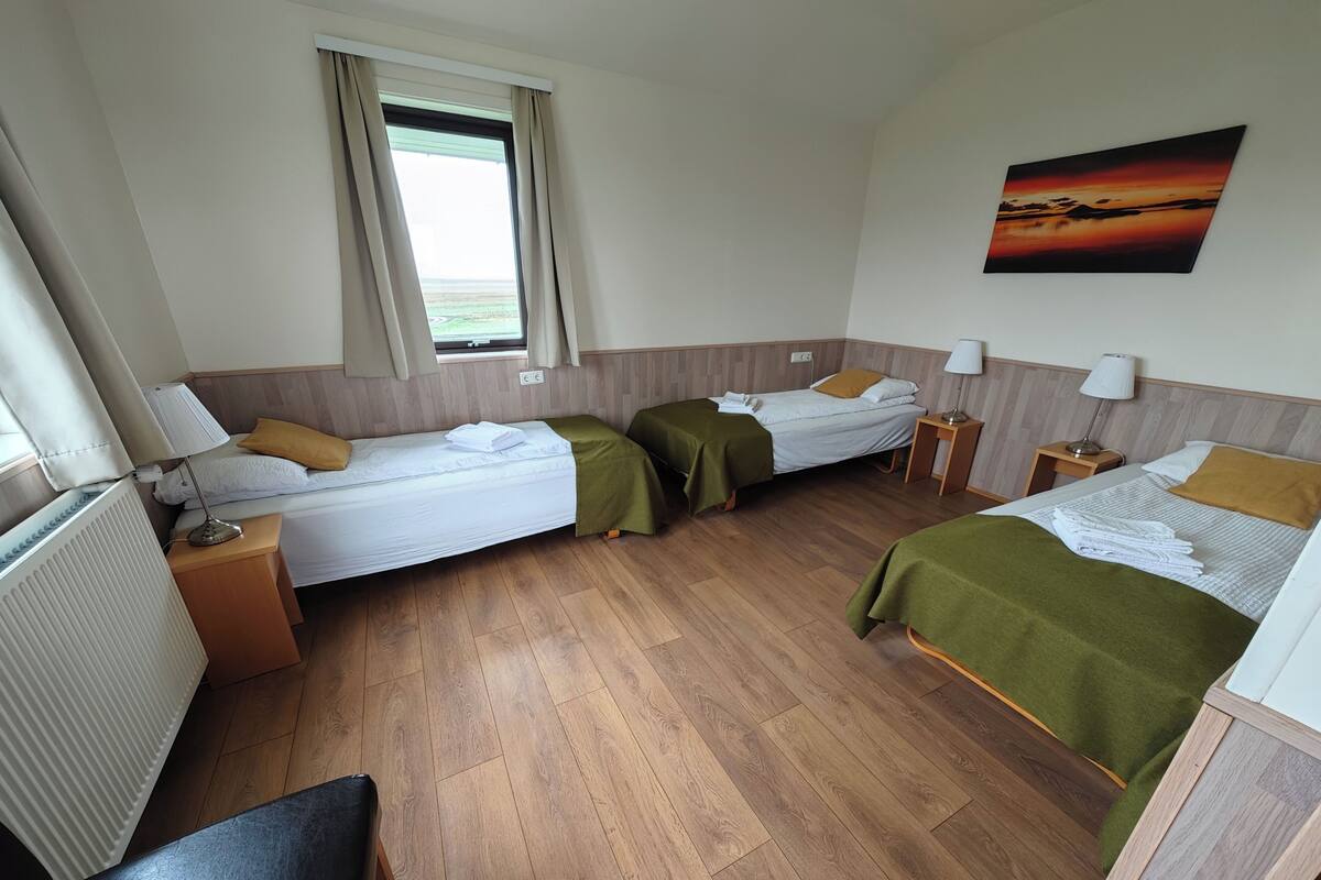 Een hotelkamer met twee bedden, een raam met gordijnen, een schilderij aan de muur en een houten vloer.