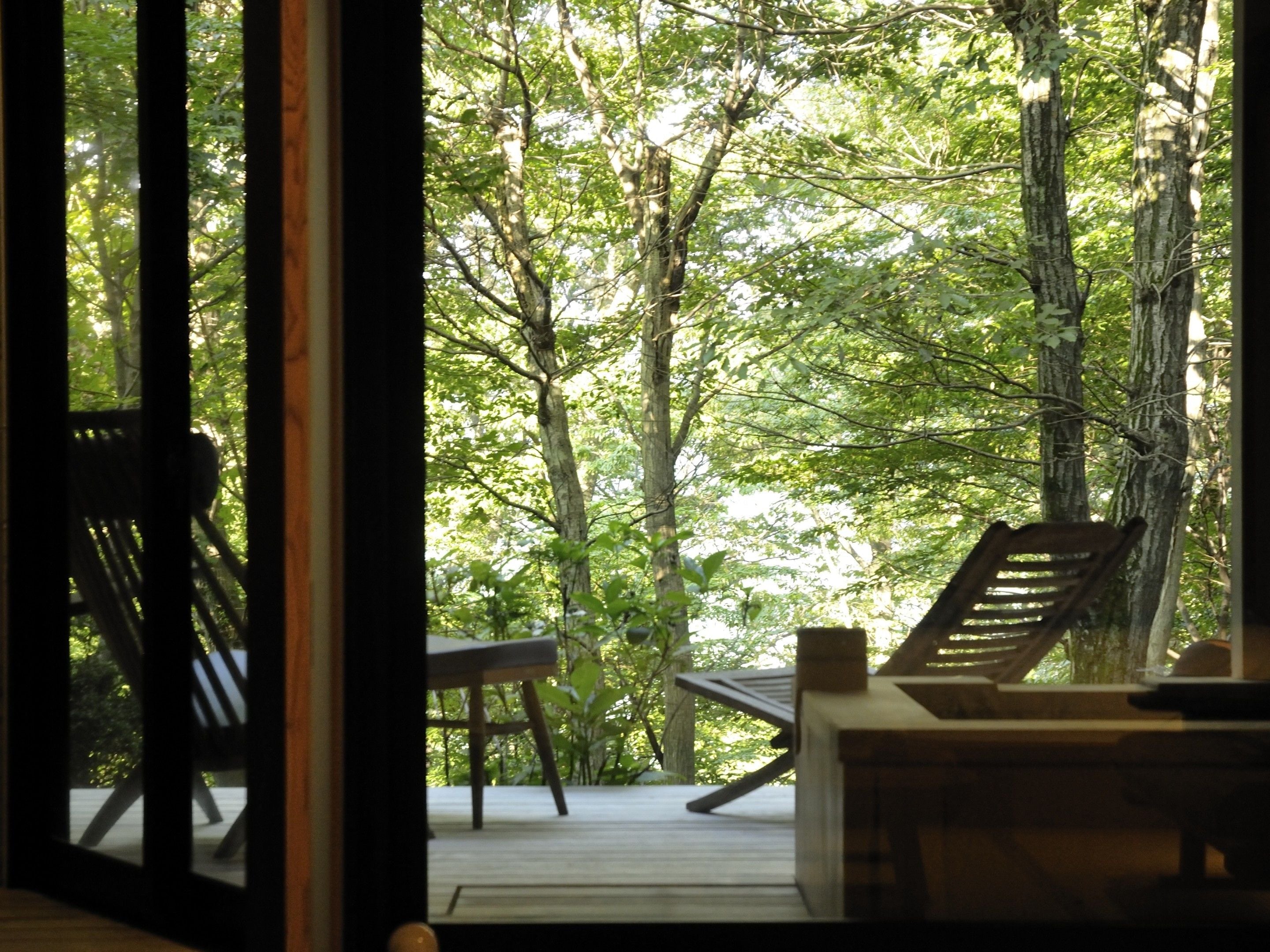 A view from a room with a wooden deck, overlooking a forested area.