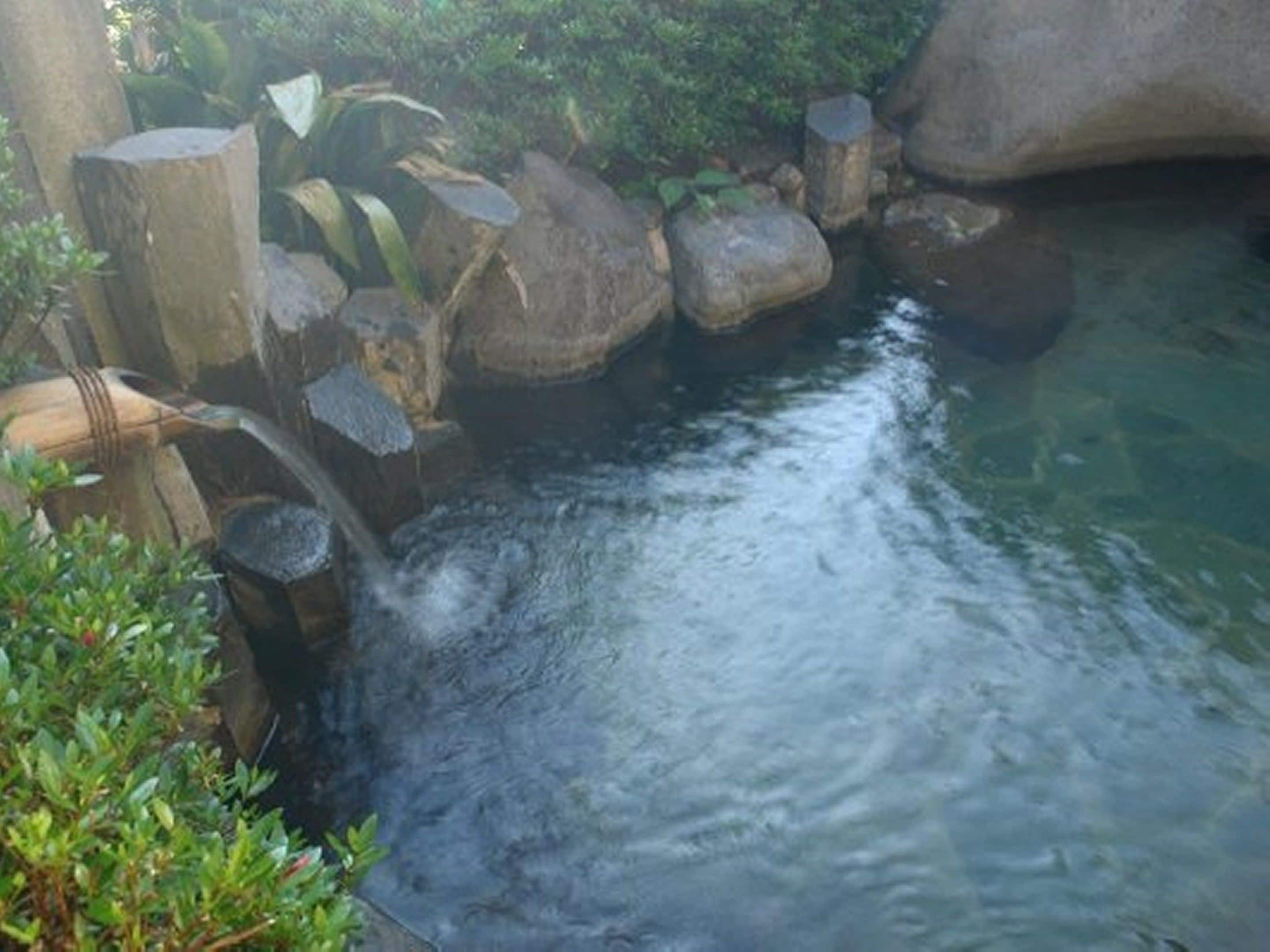 A natural water feature with rocks and greenery.