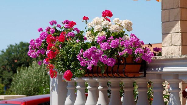 A balcony with a flower planter, a striped awning, and a red car in the background. - Apartment Mila 395 (Medulin)