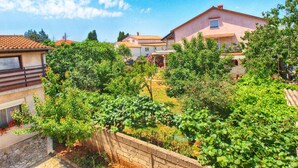 Una zona residencial con casas, un jardín y un viñedo.