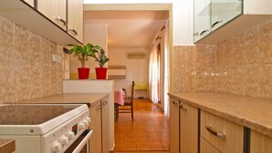 Una cocina con estufa, armarios y una planta en maceta.