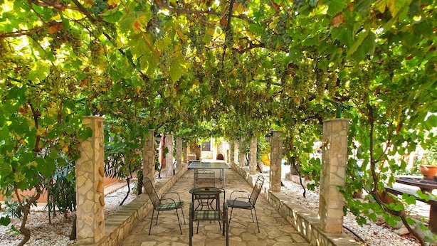 Un patio exterior cubierto con suelo de piedra, una mesa con sillas y una pérgola con parras por encima.