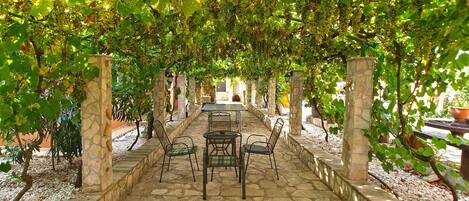 Apartment, 2 Bedrooms (749/1748) | Terrace/patio