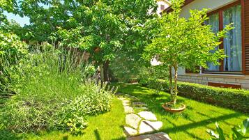 Overnattingsstedets uteområder