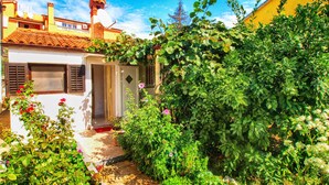 Un jardín con diversas plantas y un edificio con techo de tejas.