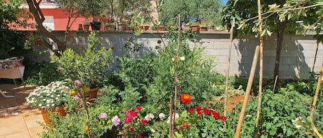 Jardín