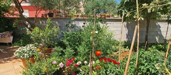 Apartment Ivanka 378