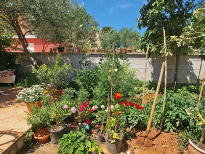 Apartment Ivanka 378