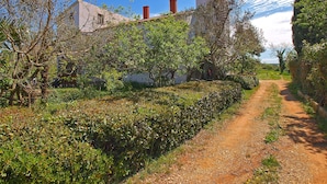 Eksteriør