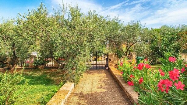A garden pathway leading to a gated entrance, surrounded by lush greenery and flowering plants. - Apartment Milka 442 (Fazana)