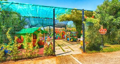 Apartments Anka 1223