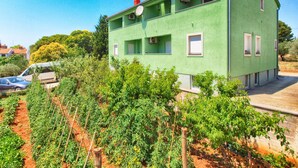 A green house with multiple windows and a satellite dish, surrounded by a vineyard. - Apartments Ankica 1420 (Fazana)