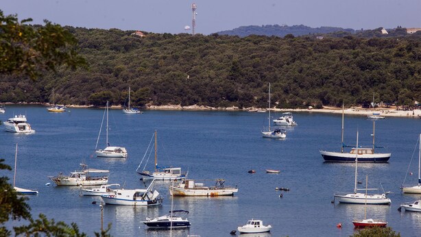 Un port de plaisance où sont amarrés différents types de bateaux, entouré d’une colline boisée.