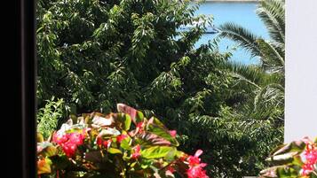 Blick von der Unterkunft