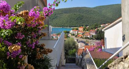 Apartments Jadranka 612