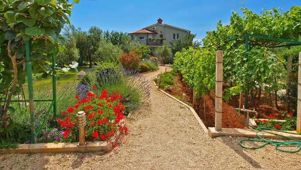 A garden path leading to a house with a balcony, surrounded by various plants and flowers. - Apartments Daffodils 1002 (Fazana)