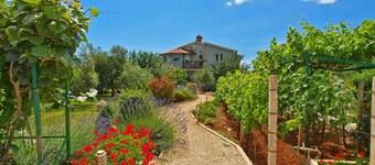 Apartments Daffodils 1002