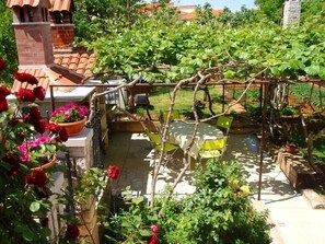 Trädgård