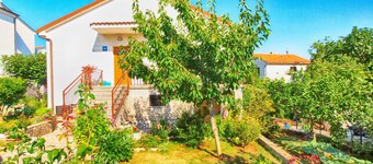 Apartments Bubamara 1398