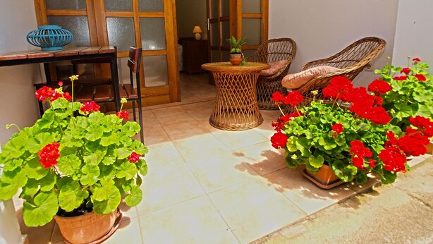 Studio, 1 soverom (1105/9568) | Terrasse/patio