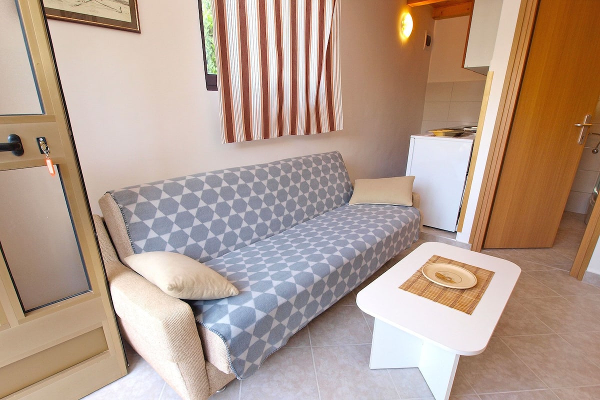 Appartamento, 1 camera da letto (534/13443) | Soggiorno | TV