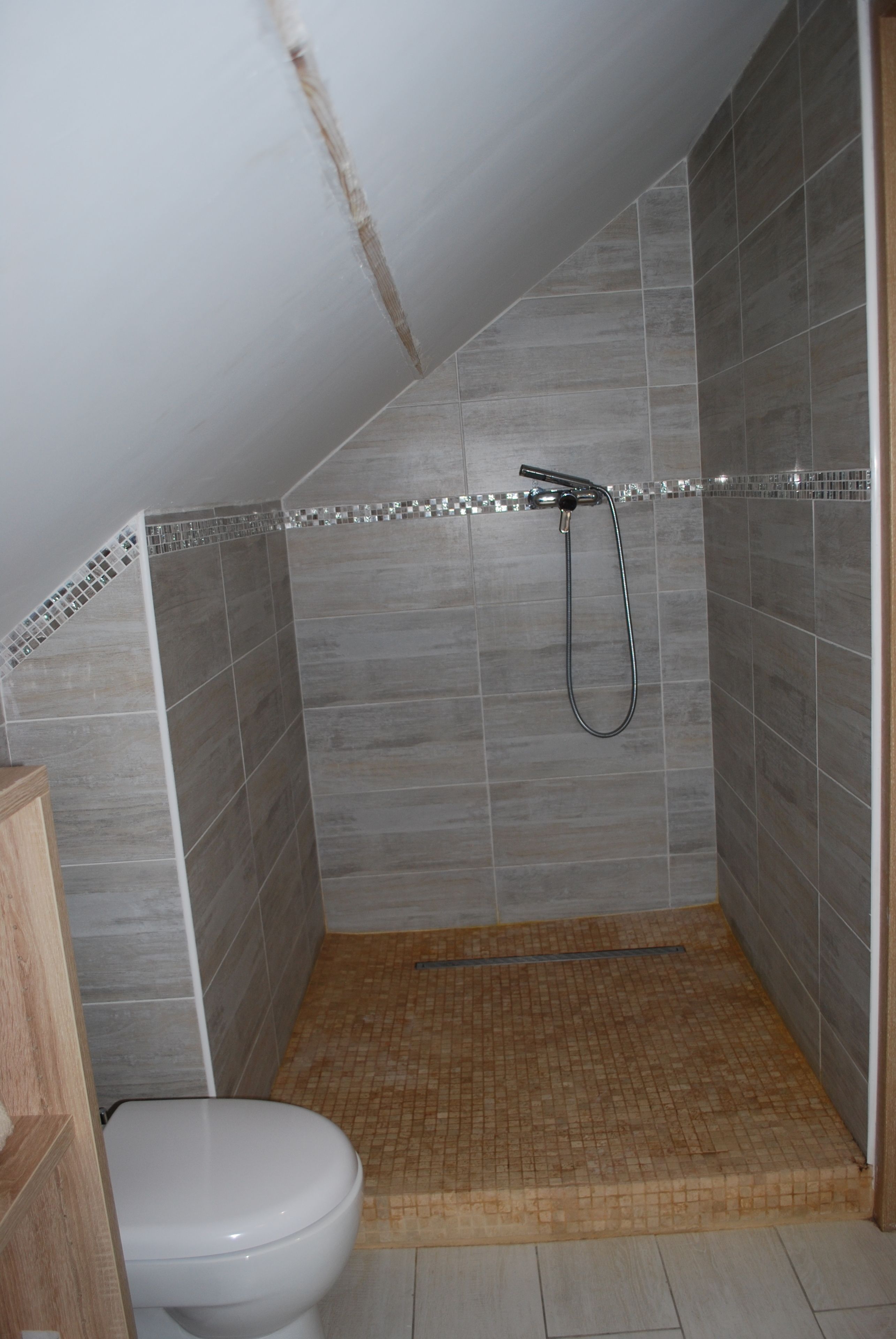 A small, tiled shower area with a showerhead and a toilet.