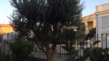 Jardín