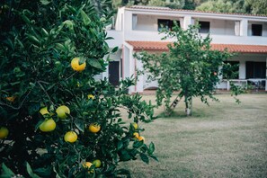 Property grounds - Guesthouse Casavasco (Domus de Maria)
