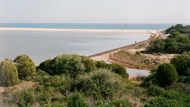 Un paysage côtier avec une plage, une jetée et une végétation luxuriante.