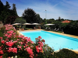 Seasonal outdoor pool, pool umbrellas, pool loungers