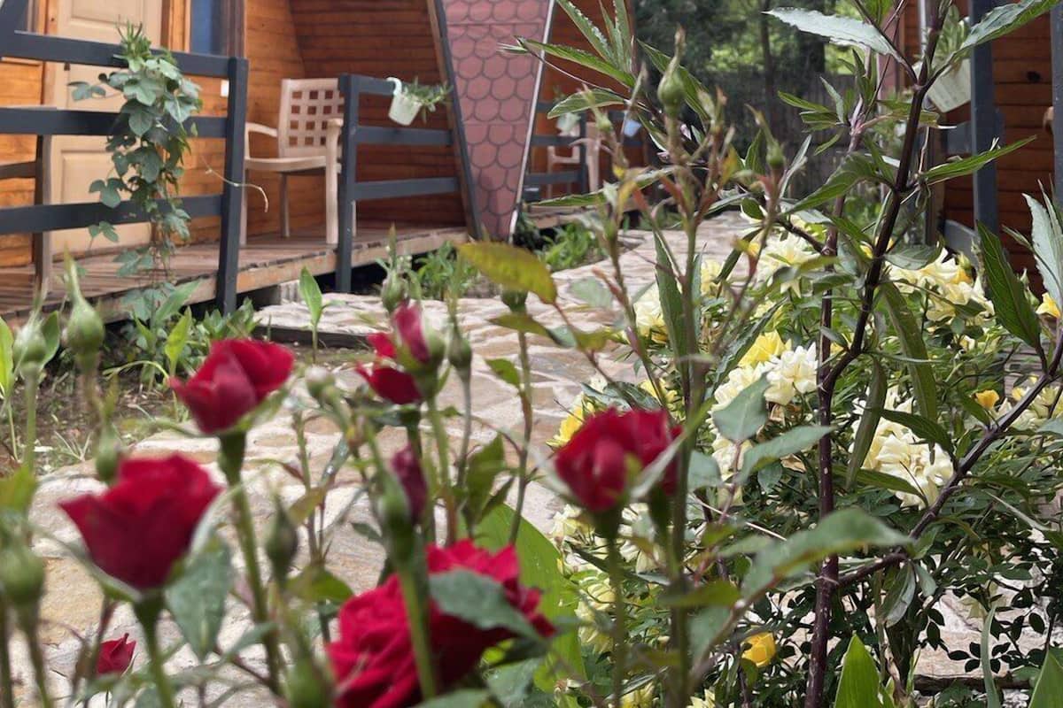 Classic Bungalow | Garden view