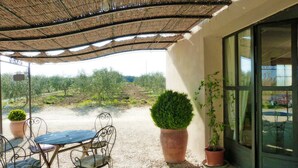 Un patio al aire libre con una mesa, sillas, una pérgola y plantas en macetas.