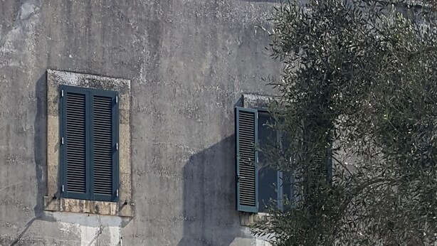 Un bâtiment avec une porte verte, deux fenêtres avec volets et un arc en pierre. Deux plantes en pot sont placées devant.
