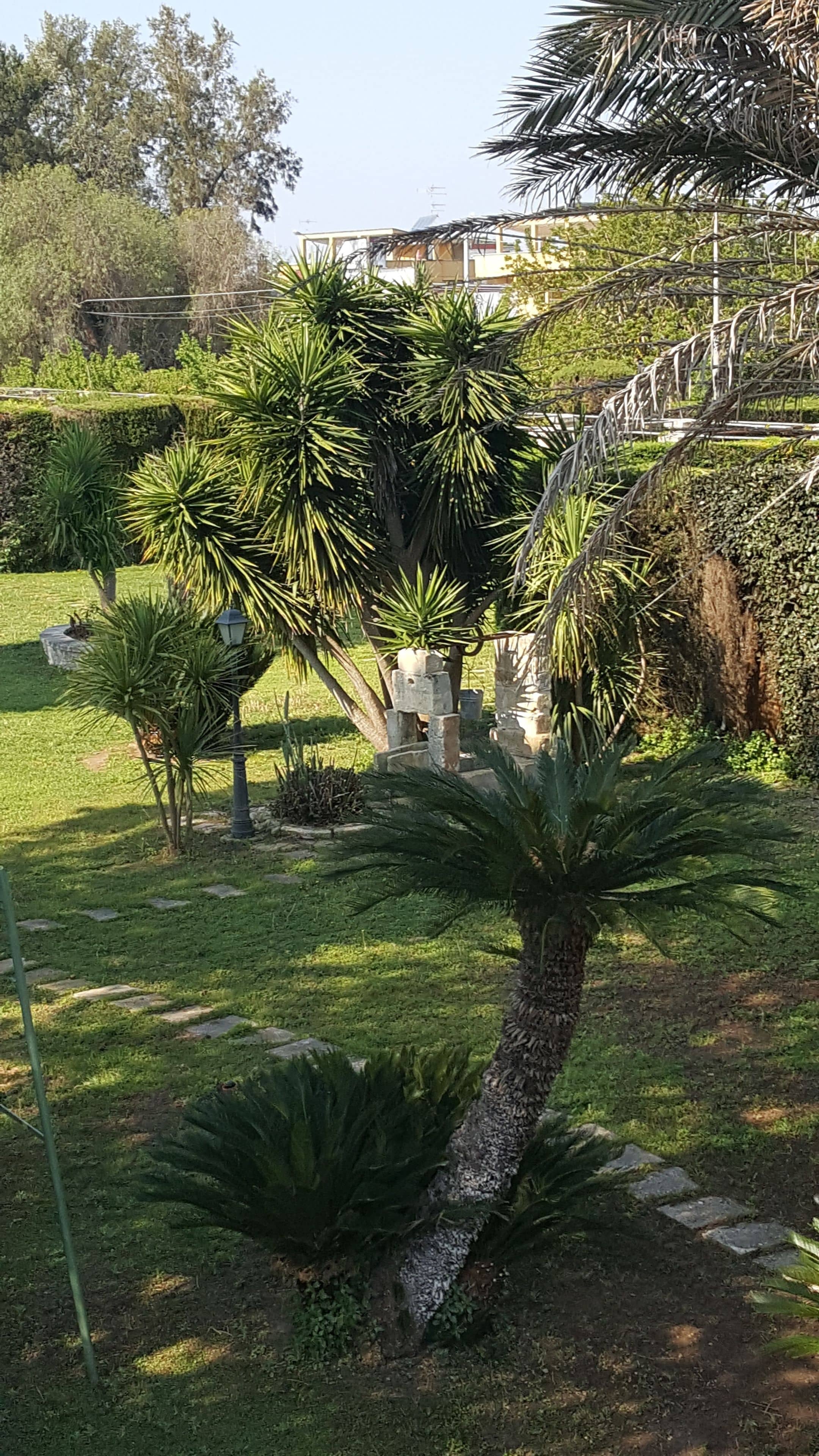 Chambre Double, 1 grand lit, salle de bains commune, vue jardin | Jardin