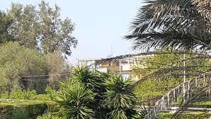 Un jardin avec différentes espèces de plantes et une structure en pierre.