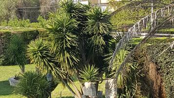 Chambre Double, 1 grand lit, salle de bains commune, vue jardin | Jardin