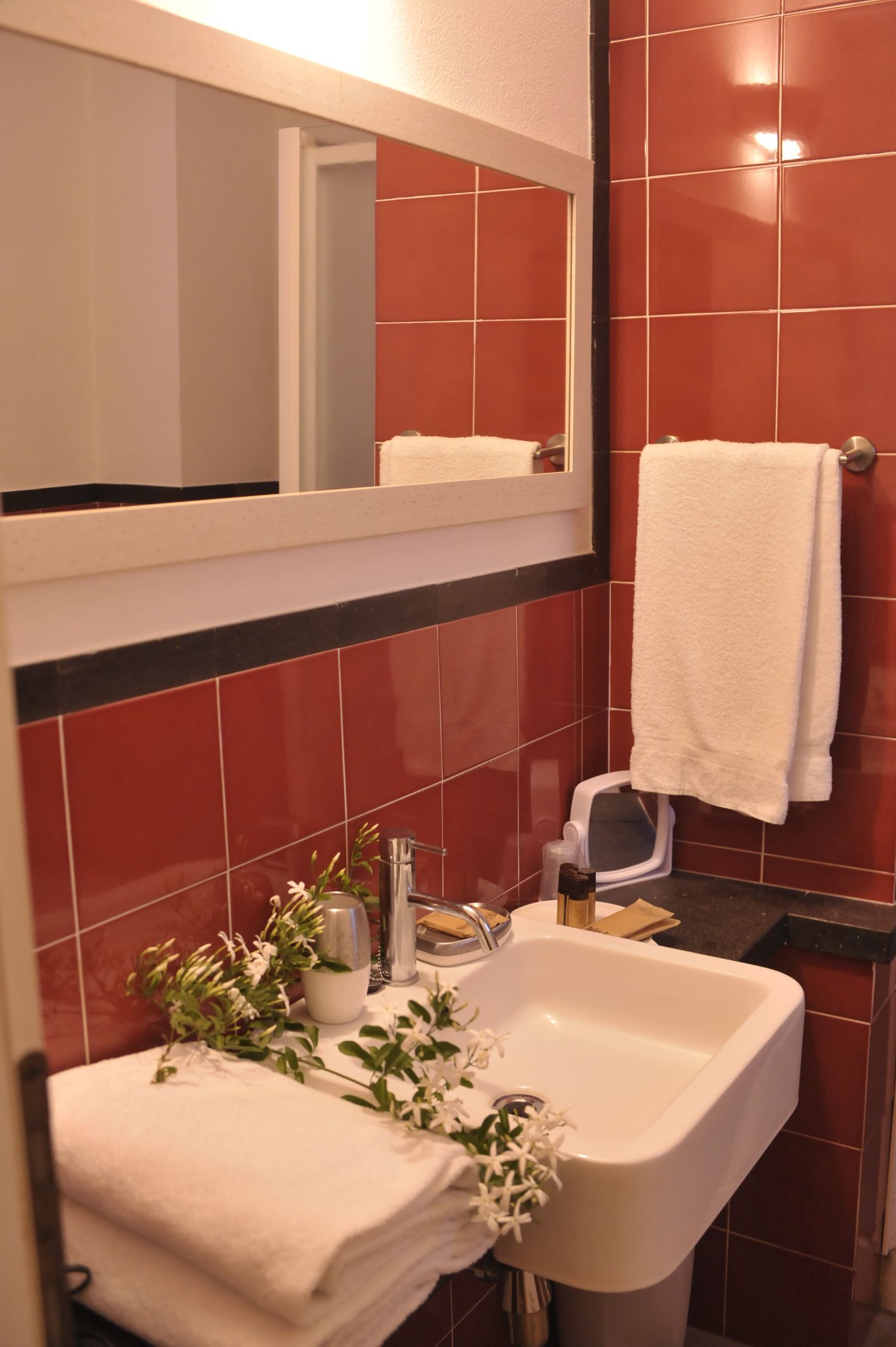 shower, free toiletries, hair dryer, bidet