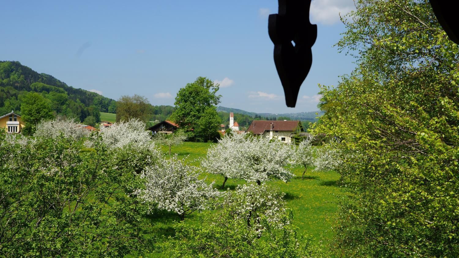 Ländliche Landschaft mit blühenden Bäumen und Häusern im Hintergrund.