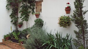 A white wall with a wooden window and multiple potted plants. - Apartamentos Turísticos La Vida De Antes (Consuegra)