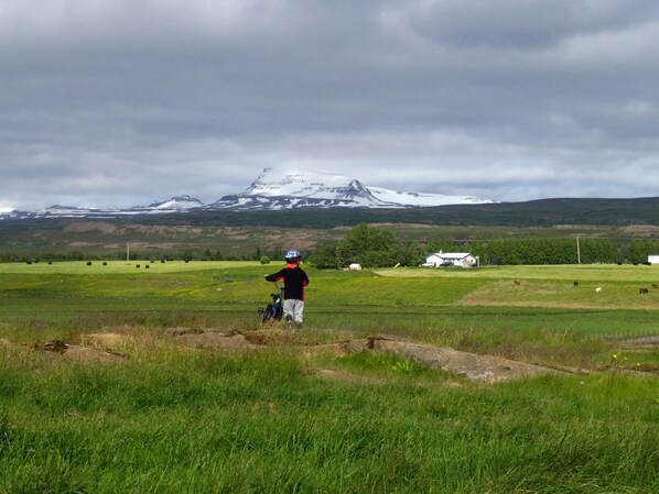 Un ciclista en un campo cubierto de hierba, con una montaña al fondo.