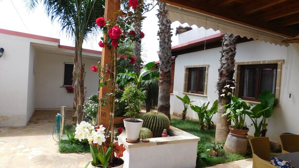 A courtyard with a variety of potted plants, including a cactus, flowers, and a wooden trellis with climbing plants.