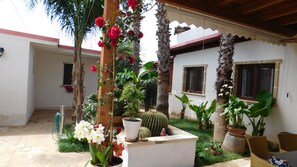 A courtyard with a variety of potted plants, including a cactus, flowers, and a wooden trellis with climbing plants. - B&B Raggio di Sole (Porto Cesareo)