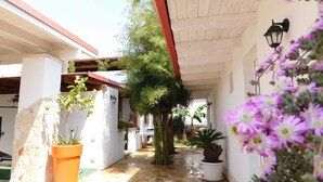 A covered outdoor corridor with potted plants and a bamboo tree.
