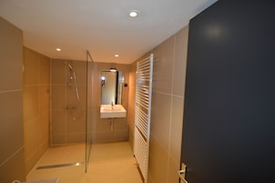 Shower, free toiletries, hair dryer, towels