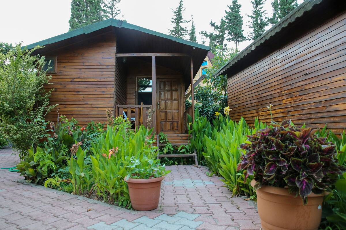 Een houten chalet met een veranda, omgeven door weelderige begroeiing en potplanten.
